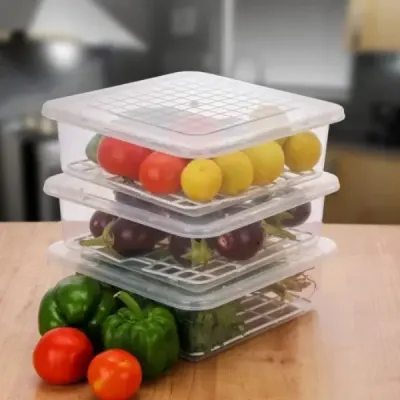 Square Fridge Container Set of 2, 3, 4, 6