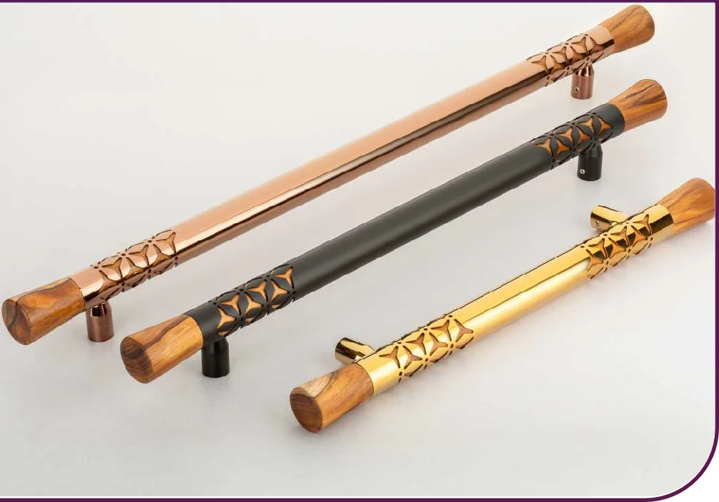 Ample 2 Main Door Handle