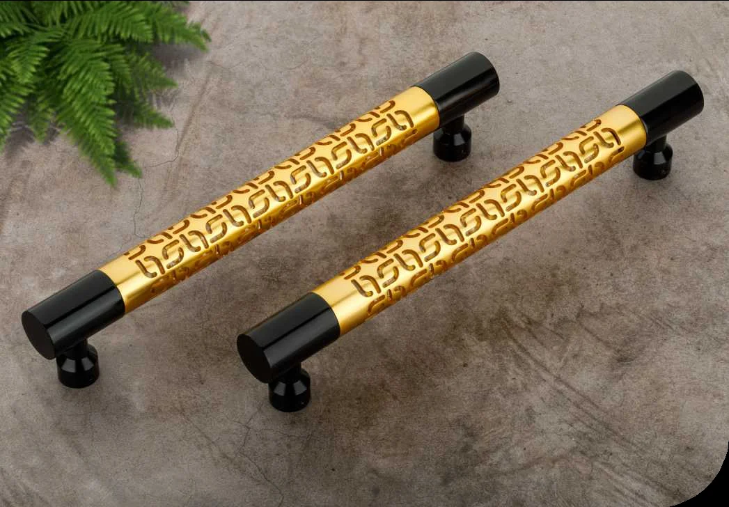 Elantra Main Door Handle