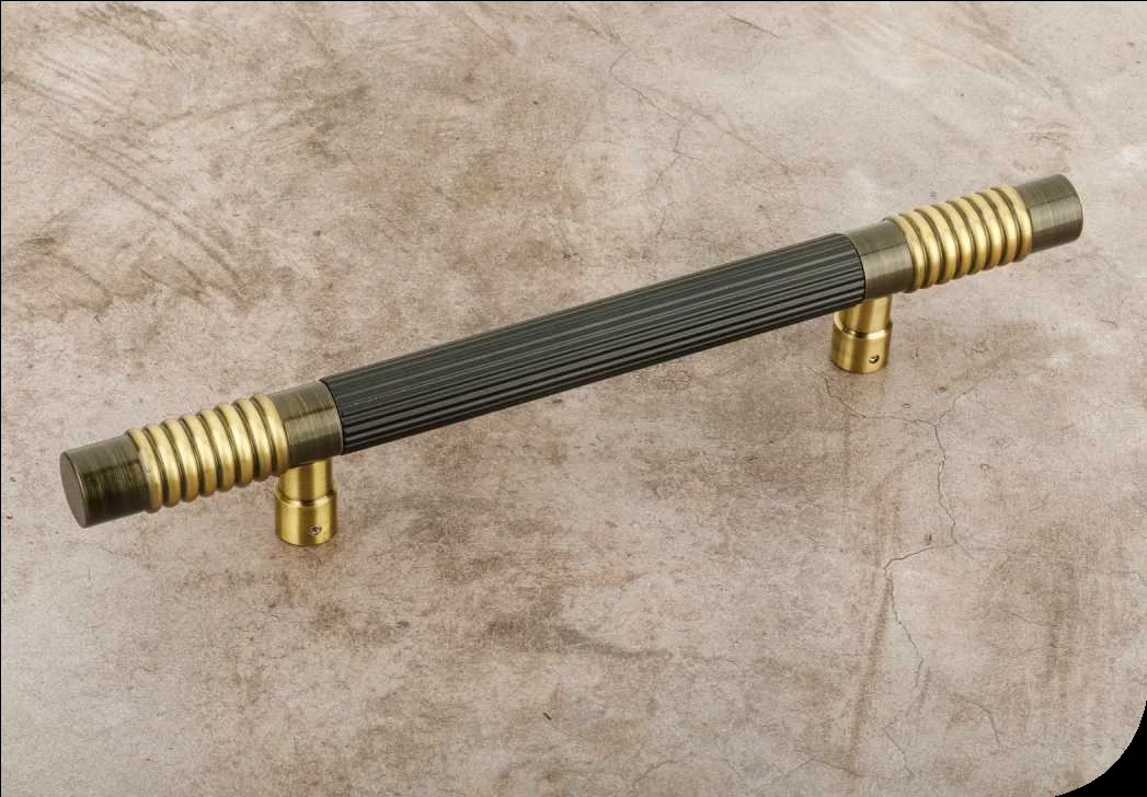 Neo Ring Main Door Handle