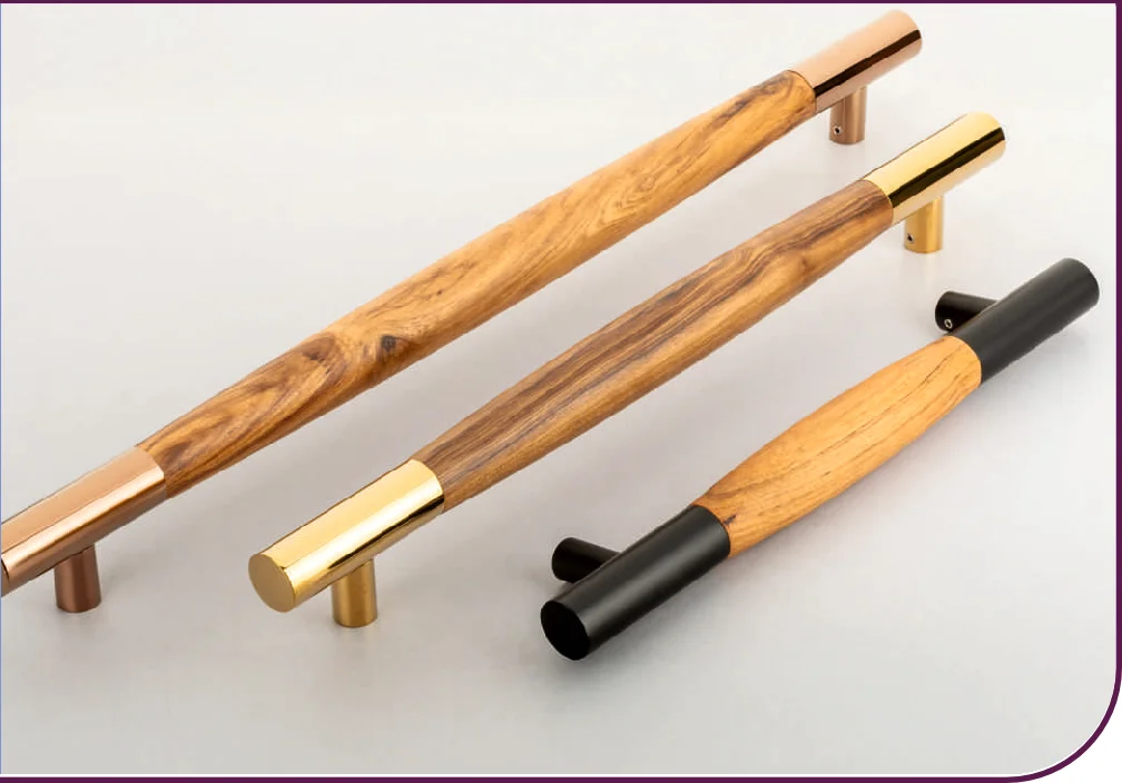 Sonar Main Door Handle