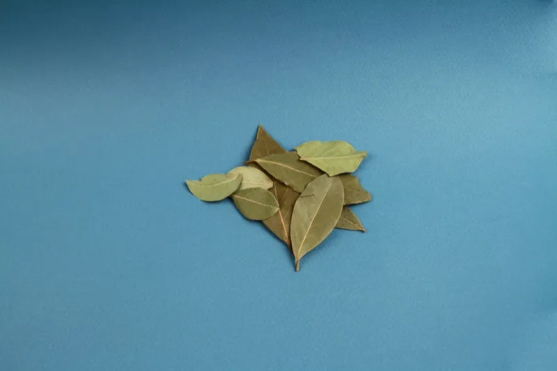 Bay Leaves (Tej Patta)