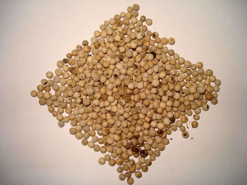 Whole White Pepper (Safed Mirch)